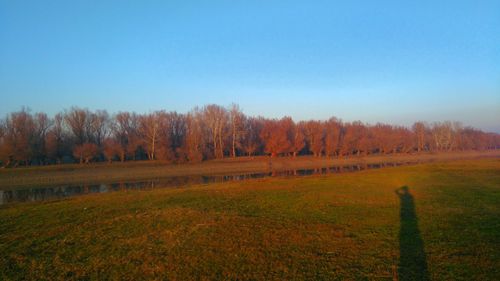 Scenic view of grassy field against clear sky