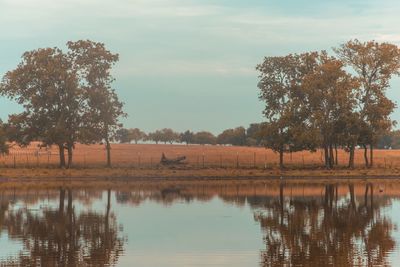 Scenic view of lake by trees against sky