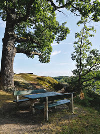 Empty bench in park