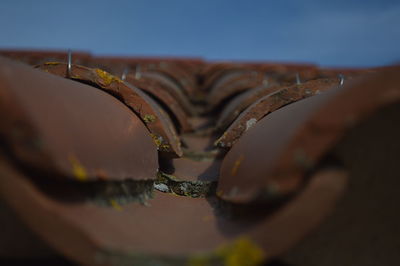 Close-up of water against sky
