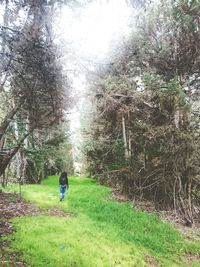 Full length of man walking on grass against sky