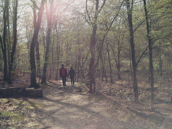 Silhouette of woman in forest