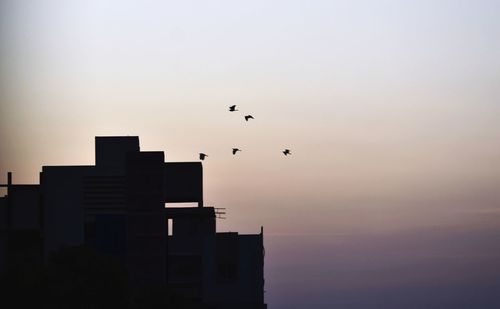 Low angle view of silhouette birds flying in sky