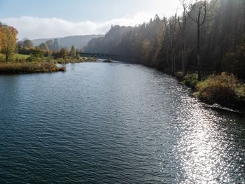 Scenic view of lake in forest against sky