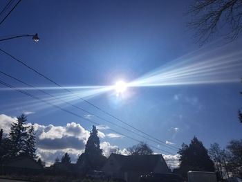 Low angle view of trees against sky