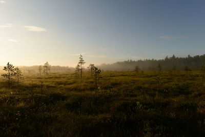 Scenic view of field against sky