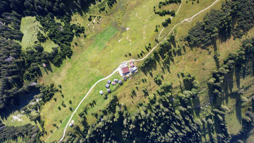 High angle view of vehicles on road amidst trees