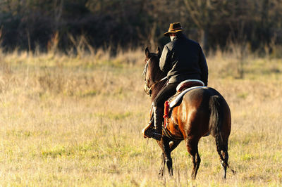 Rear view of man riding horse on field