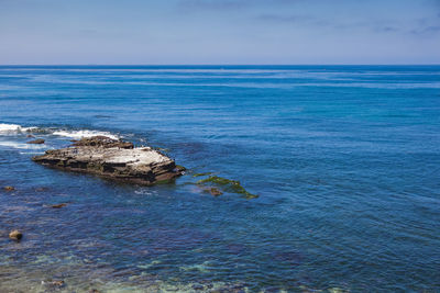 Cormorants gather on a rock on the pacific ocean at la jolla in san diego, california