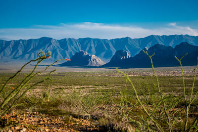 Scenic view of mountains against blue sky