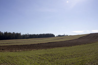 Scenic view of agricultural field against sky