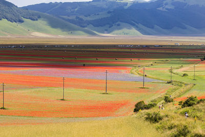 Scenic view of field against mountains