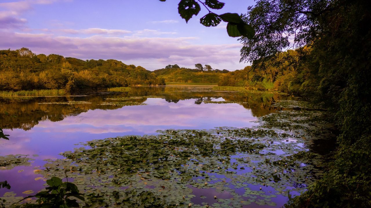 REFLECTION OF TREES ON LAKE AGAINST SKY