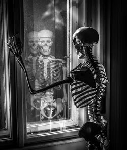 Human skeleton looking through window