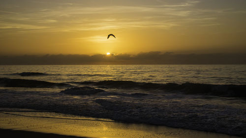 Scenic view of sea against sunset sky