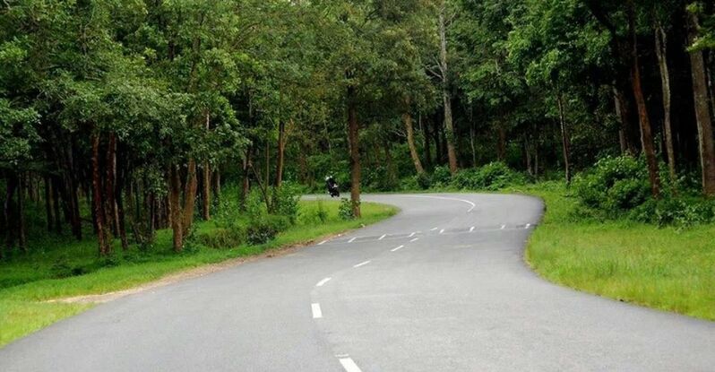 the way forward, transportation, road, tree, diminishing perspective, vanishing point, country road, road marking, tranquility, empty road, green color, growth, grass, forest, nature, empty, tranquil scene, landscape, long, day