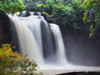 Scenic view of waterfall in forest