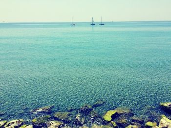 sea