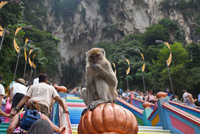 Rear view of people sitting against trees