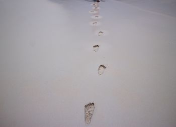 High angle view of footprints on water