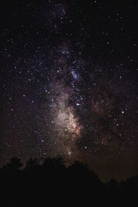 Low angle view of silhouette trees against sky at night