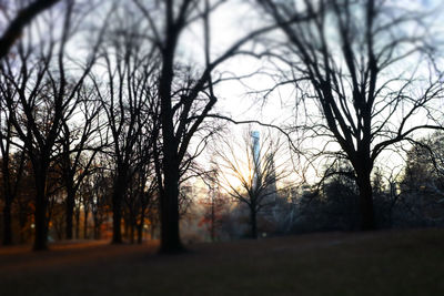 Silhouette bare trees on field against sky