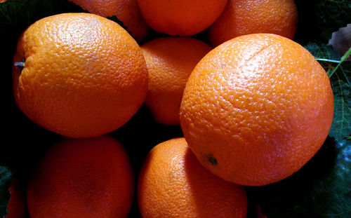 Close-up of oranges