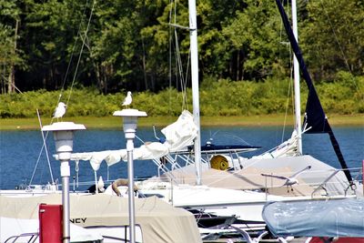 Sailboats moored in sea