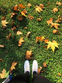 Low section of person on autumn leaves on field