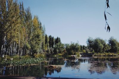Scenic view of lake against clear sky