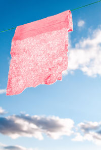 Close-up of pink flower against blue sky