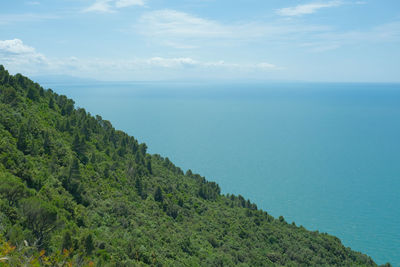 Ligurian coast landscape from the montemarcello hamlet in ameglia, la spezia, liguria, italy.