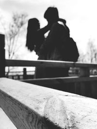 Close-up of plant against white background