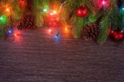 Illuminated christmas tree at night