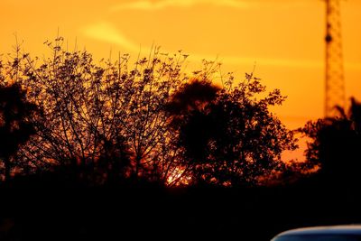 Silhouette plants against orange sky