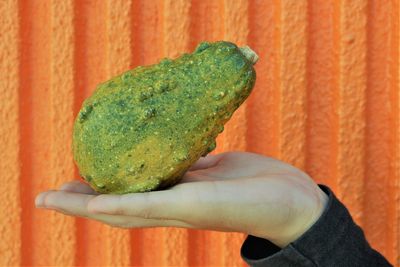 Close-up of hand holding green leaf