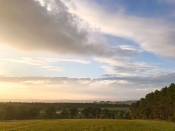 Scenic view of field against sky at sunset