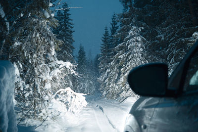 Car on snowy road against trees