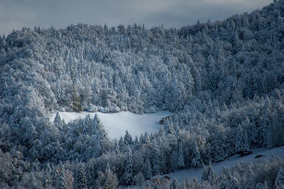 Snow covered land and trees against sky