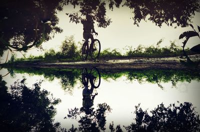 Reflection of trees in lake against sky