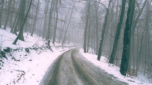 Snow covered road amidst trees in forest