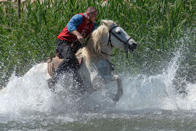 Man riding a dog in water