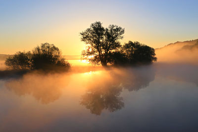 Silhouette trees by lake against sky during sunset
