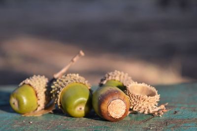 Close-up of fruits on table