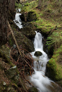 Little mountain creek with waterfall in the forest, long time exposure