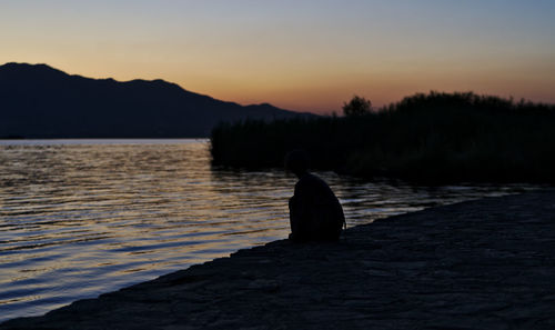 Silhouette horse in a lake at sunset