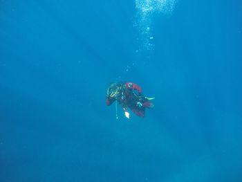 Scuba diver swimming undersea