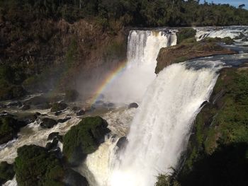 Scenic view of waterfall in forest