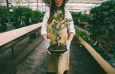 Midsection of woman holding bonsai tree while standing in greenhouse
