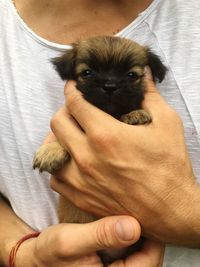 Midsection of woman with puppy